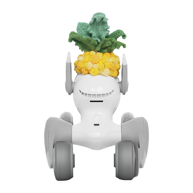 Costume Loona Knitted Pineapple