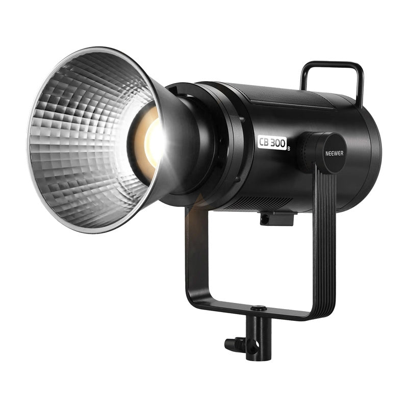 LED Lamp Neewer CB300B BiColor