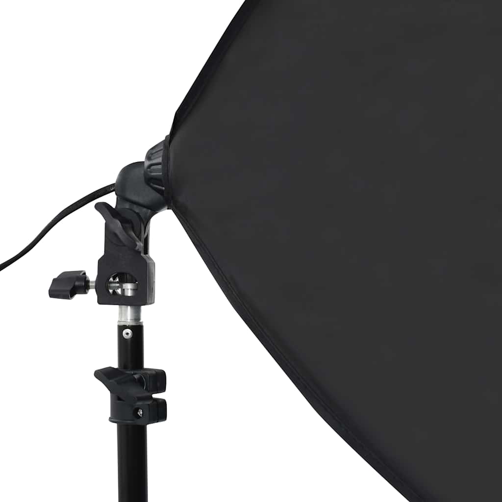 vidaXL Φωτιστικά Studio Επαγγελματικά 2 τεμ. Μαύρα 40x60 εκ. Ατσάλινα