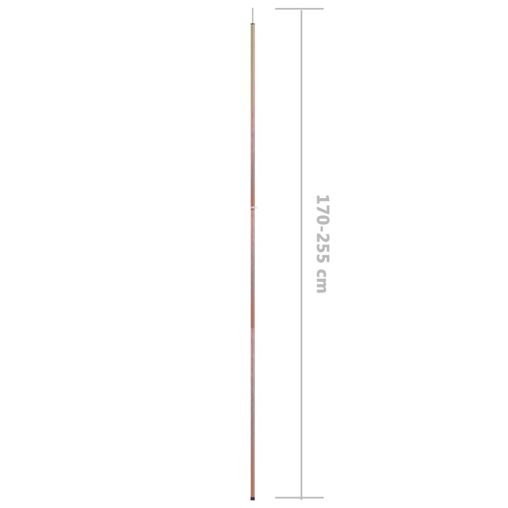 vidaXL Ορθοστάτες Σκηνής Τηλεσκοπικοί 2 τεμ. 170-255 εκ. Ατσάλινοι