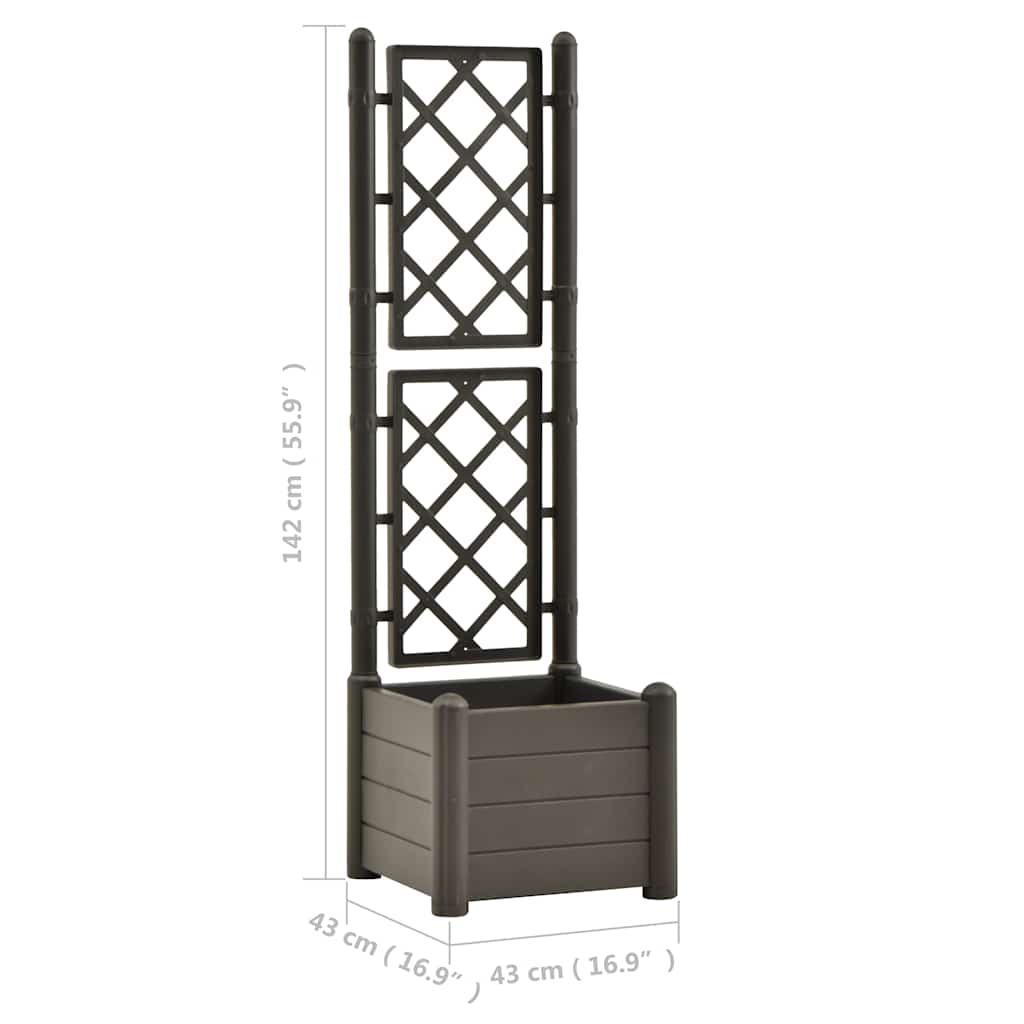vidaXL Ζαρντινιέρα Κήπου Καφασωτό Ανθρακί 43x43x142 εκ Πολυπροπυλένιο