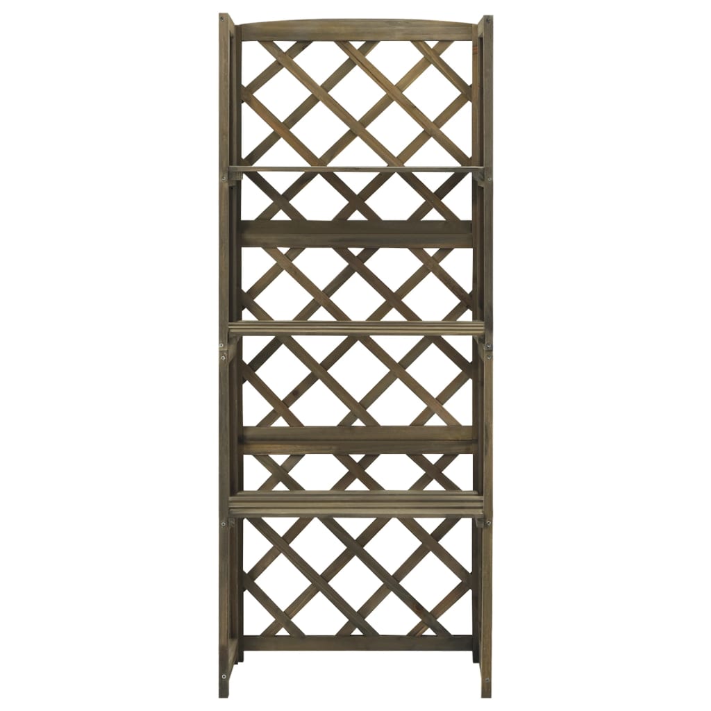 vidaXL Καφασωτό με Ράφια Γκρι 55 x 30 x 140 εκ. από Μασίφ Ξύλο Ελάτης