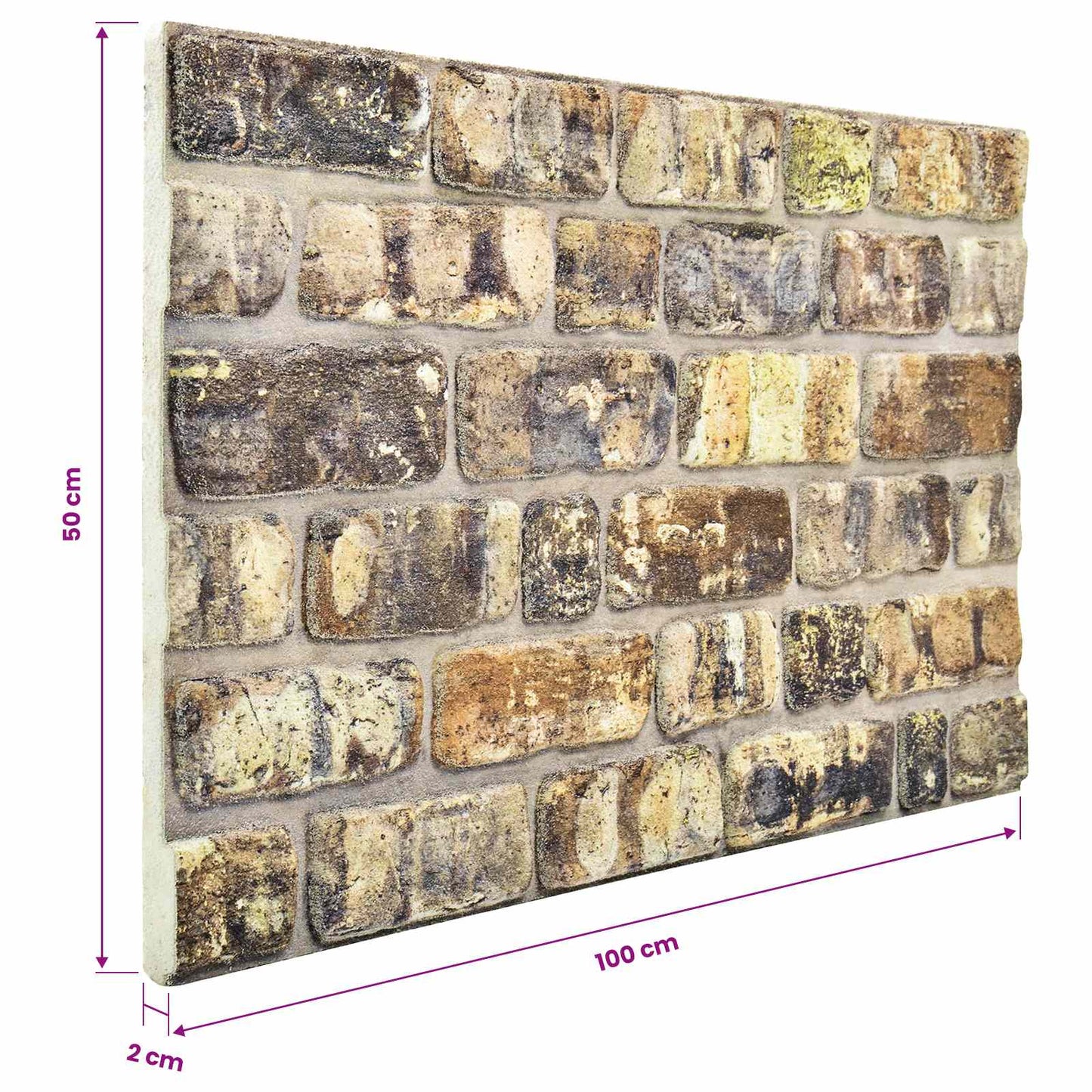 vidaXL Πάνελ τοίχου 10 pcs Πολύχρωμο 100 x 50 cm Αφρός EPS