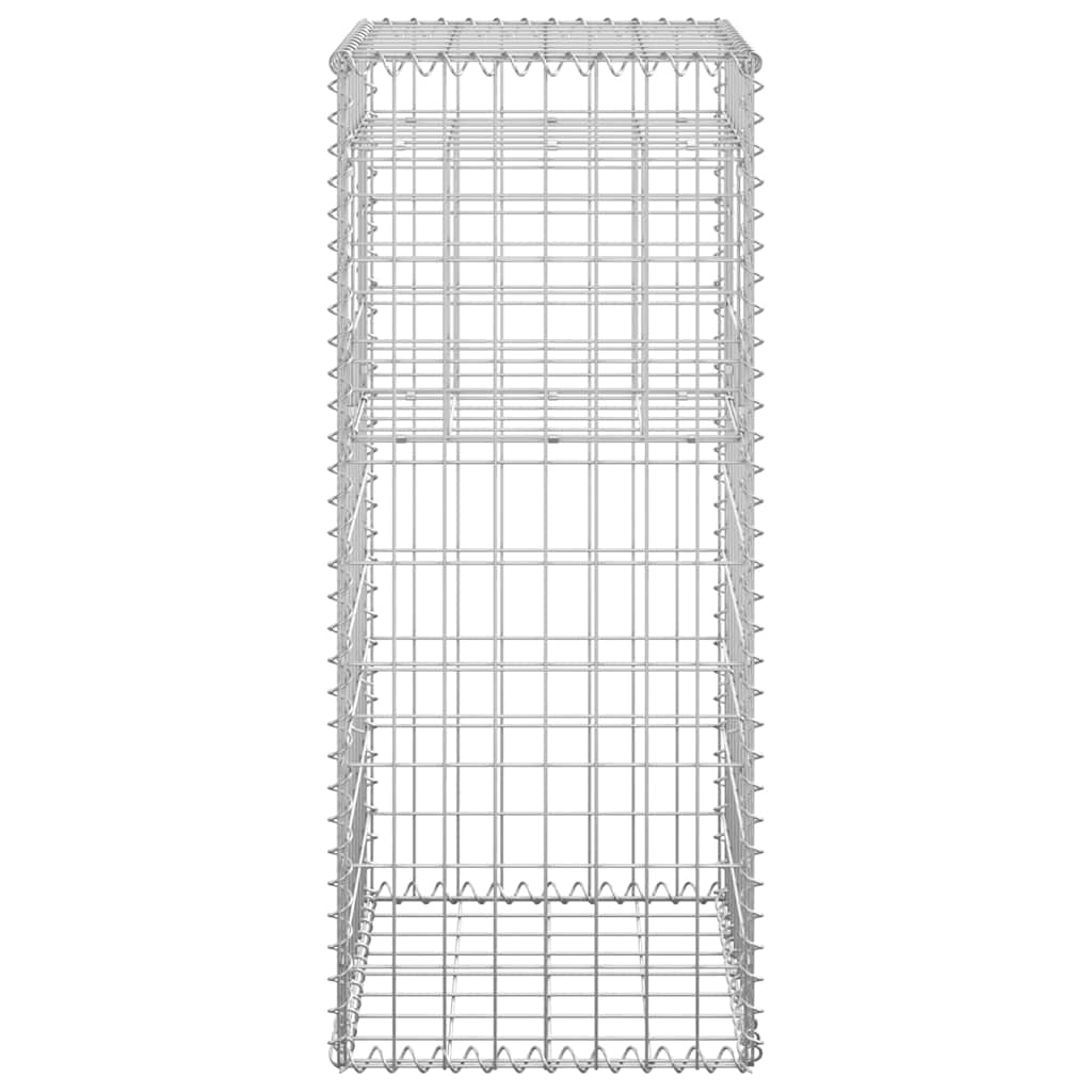 vidaXL Συρματοκιβώτια Στύλοι 2 τεμ. 40 x 40 x 100 εκ. Σιδερένιοι