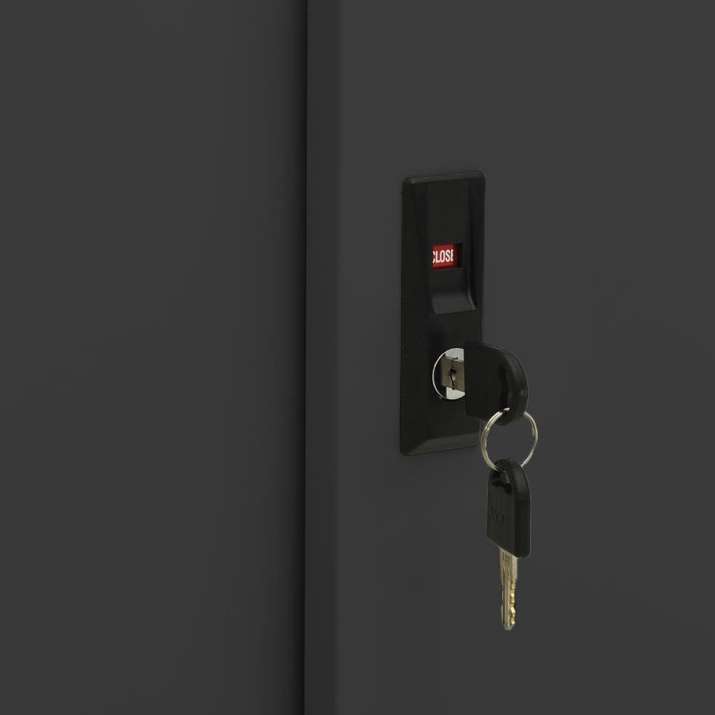 vidaXL Ντουλάπα με Συρόμενη Πόρτα & Γλάστρα Ανθρακί Ατσάλινη