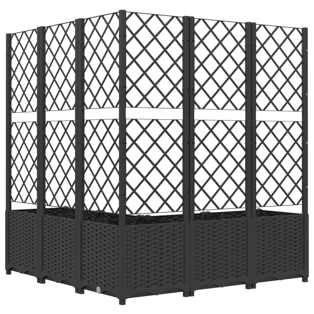 vidaXL Ζαρντινιέρα Κήπου με Καφασωτό Μαύρο 120 x 120 x 136 εκ. από PP