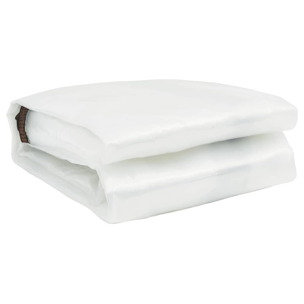 vidaXL Σαφής μουσαμάς με οπές 6x10 m πολυαιθυλένιο