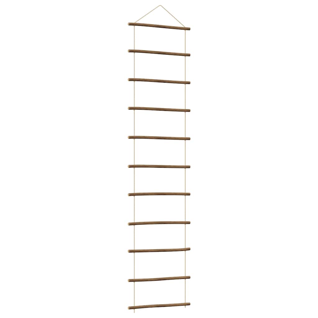 vidaXL Διακόσμηση τοίχου σε σχήμα σκάλας 50x200 cm Φυσικό κλαδί