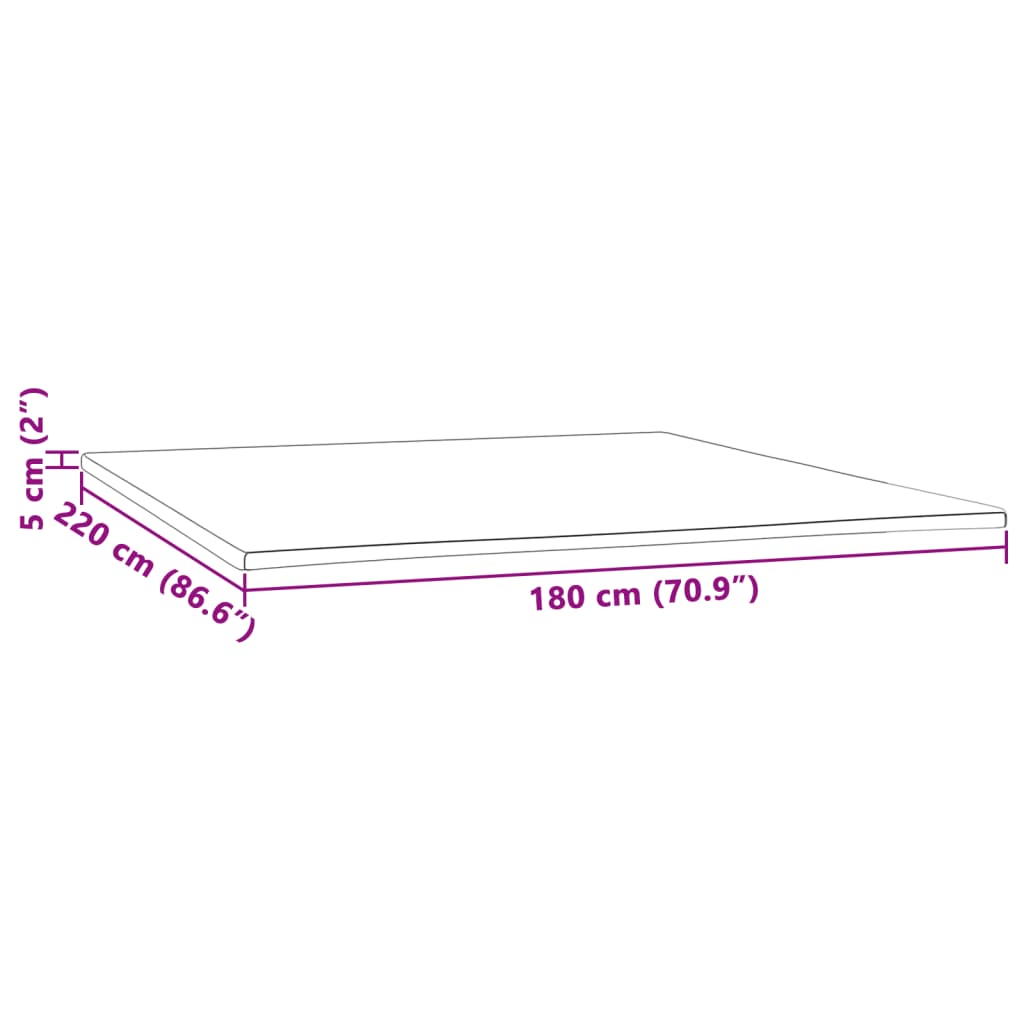 vidaXL Ανώστρωμα 180x220x5 εκ.