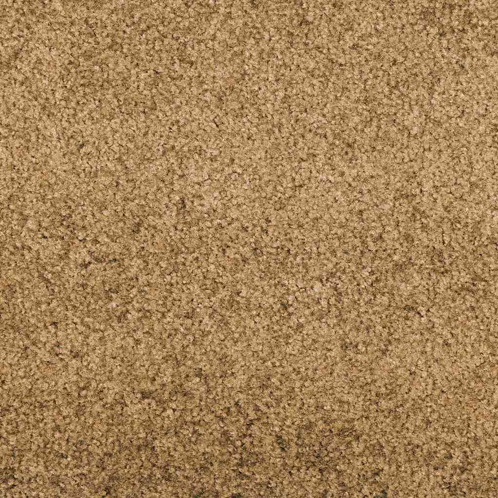 vidaXL Χαλάκι Εξώπορτας Κρέμα και Μαύρο 120 x 400 cm
