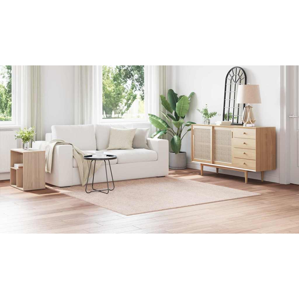 vidaXL Χαλί Κρεμ 200 x 200 cm Πολυπροπυλένιο