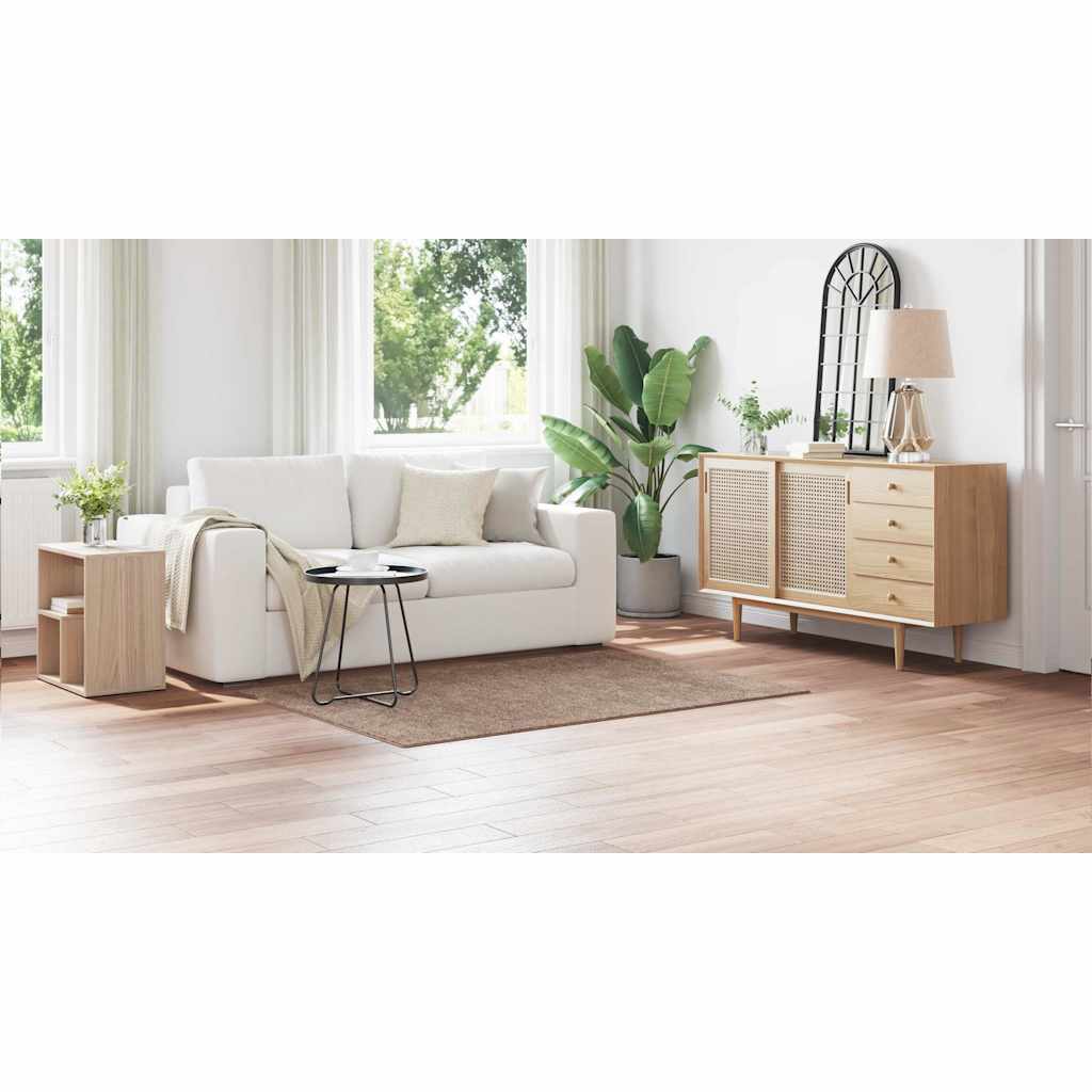 vidaXL Χαλί Καφέ 120 x 170 cm Πολυπροπυλένιο