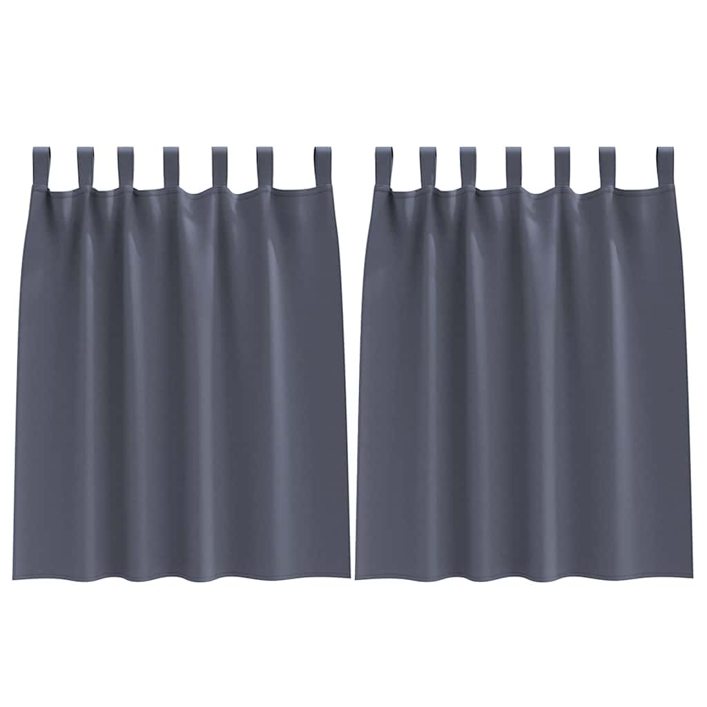vidaXL Κουρτίνες με κουρτίνες 2 pcs Ανθρακί Πολυεστέρας