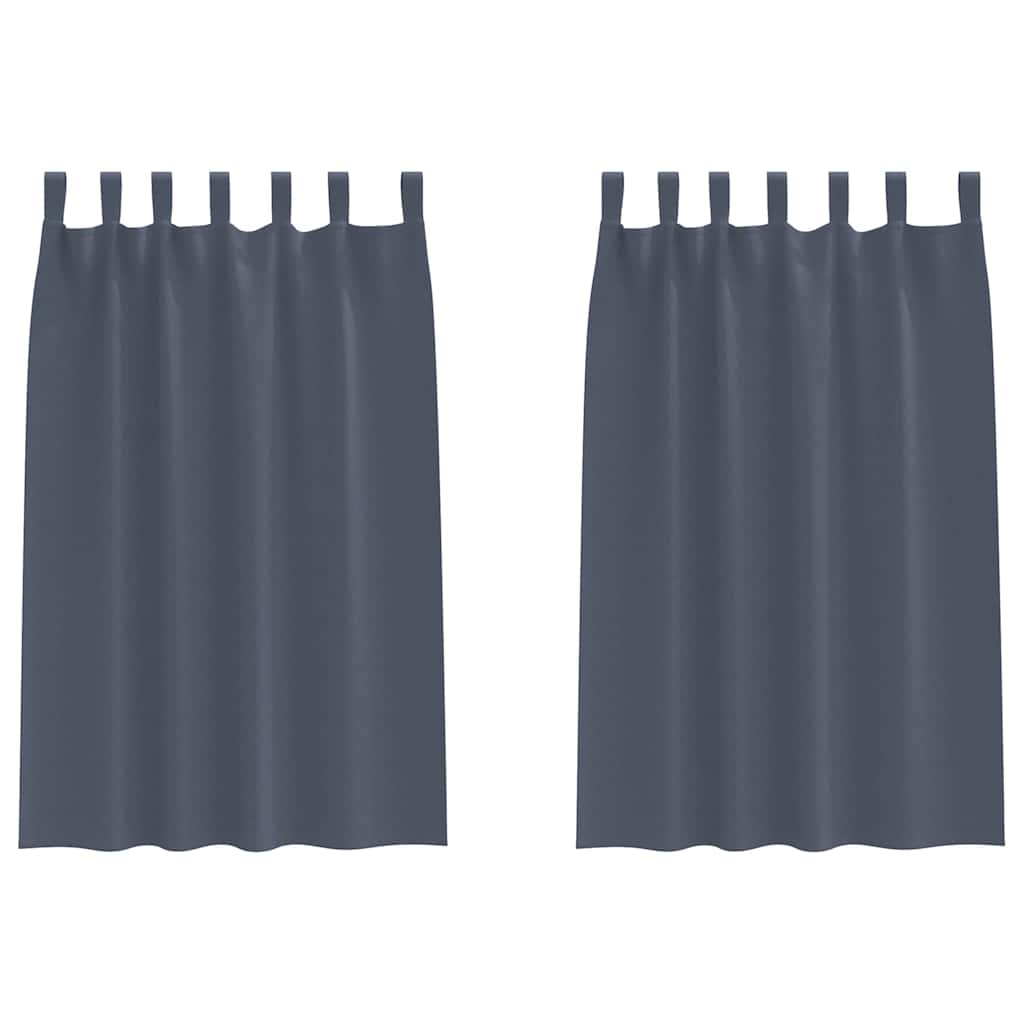 vidaXL Κουρτίνες με κουρτίνες 2 pcs Ανθρακί Πολυεστέρας