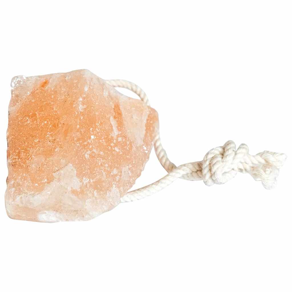 vidaXL Πέτρες Αλατιού 20 τεμ με Σχοινάκια για Ζώα 2,5 κιλά Ροζ