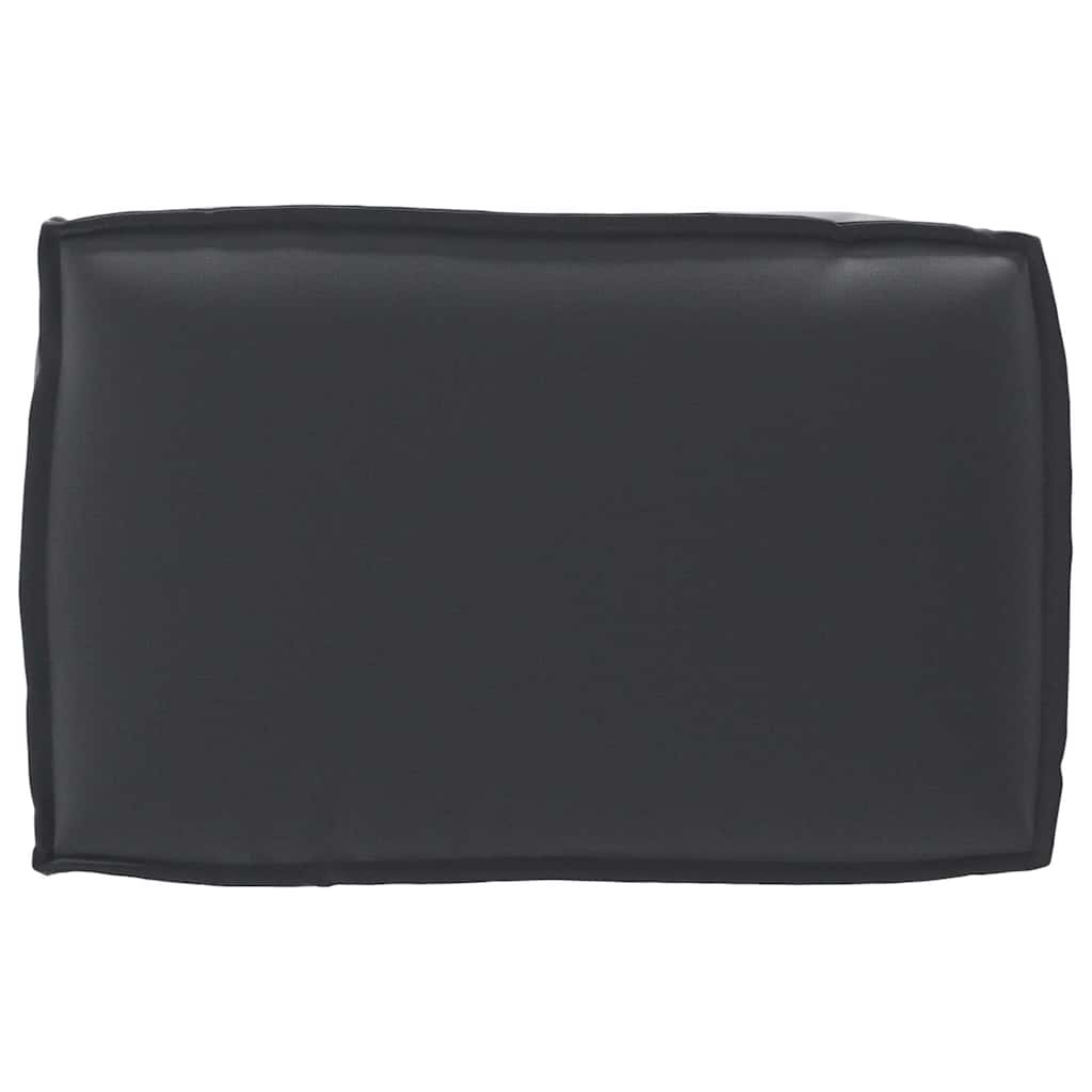 vidaXL Σετ Μαξιλαριών Πάγου 2 pcs Μαύρο 60 x 60 x 12 cm Ύφασμα Oxford