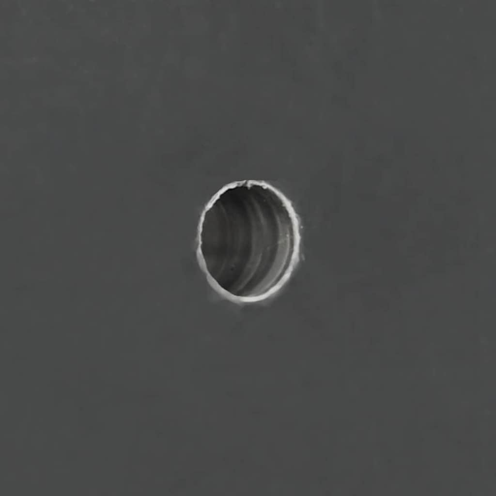 vidaXL Βούρτσες ζώων Τοίχου 50x10x6.5 εκ