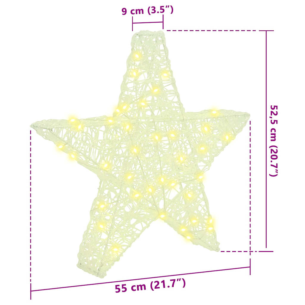 vidaXL 3D Αστέρι με 50 LED Θερμό λευκό 55 x 53.5 x 10 εκ Ακρυλικό