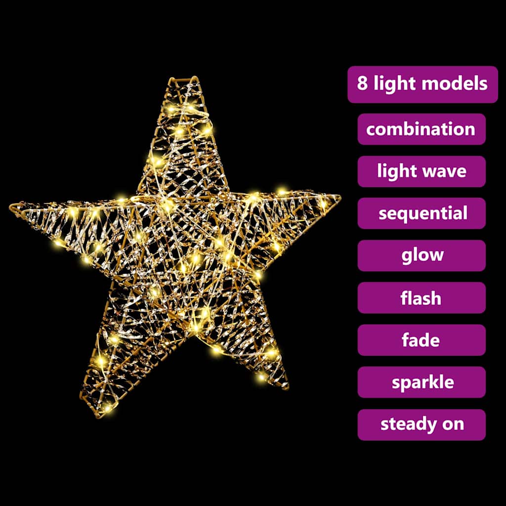 vidaXL 3D Αστέρι με 50 LED Θερμό λευκό 55 x 52.5 x 9 εκ PET
