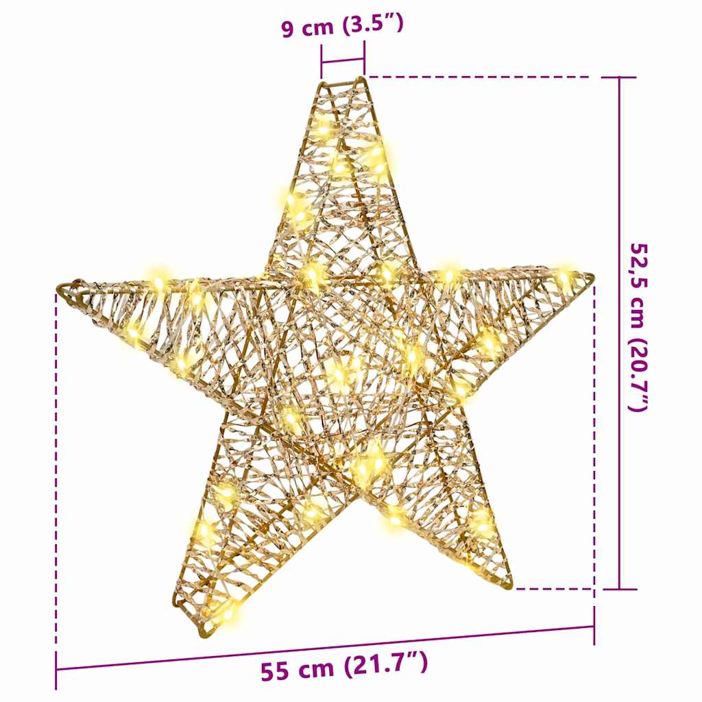 vidaXL 3D Αστέρι με 50 LED Θερμό λευκό 55 x 52.5 x 9 εκ PET