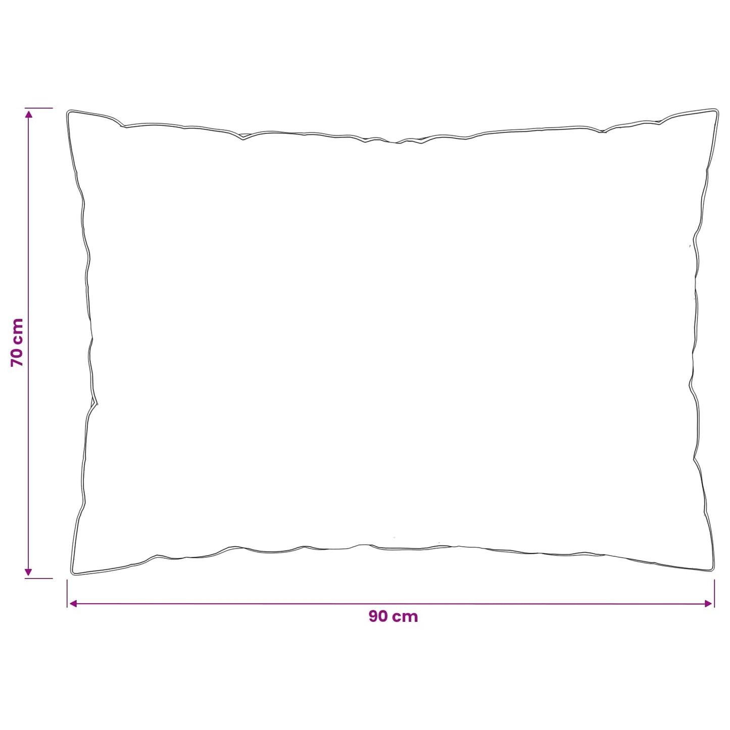 vidaXL Μαξιλάρι FULDA 2 τμχ. 70 x 90 cm 100% Πούπουλο και φτερό χήνας