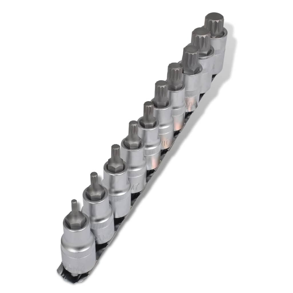 Set of 12-point bits 10 pcs. on a rack