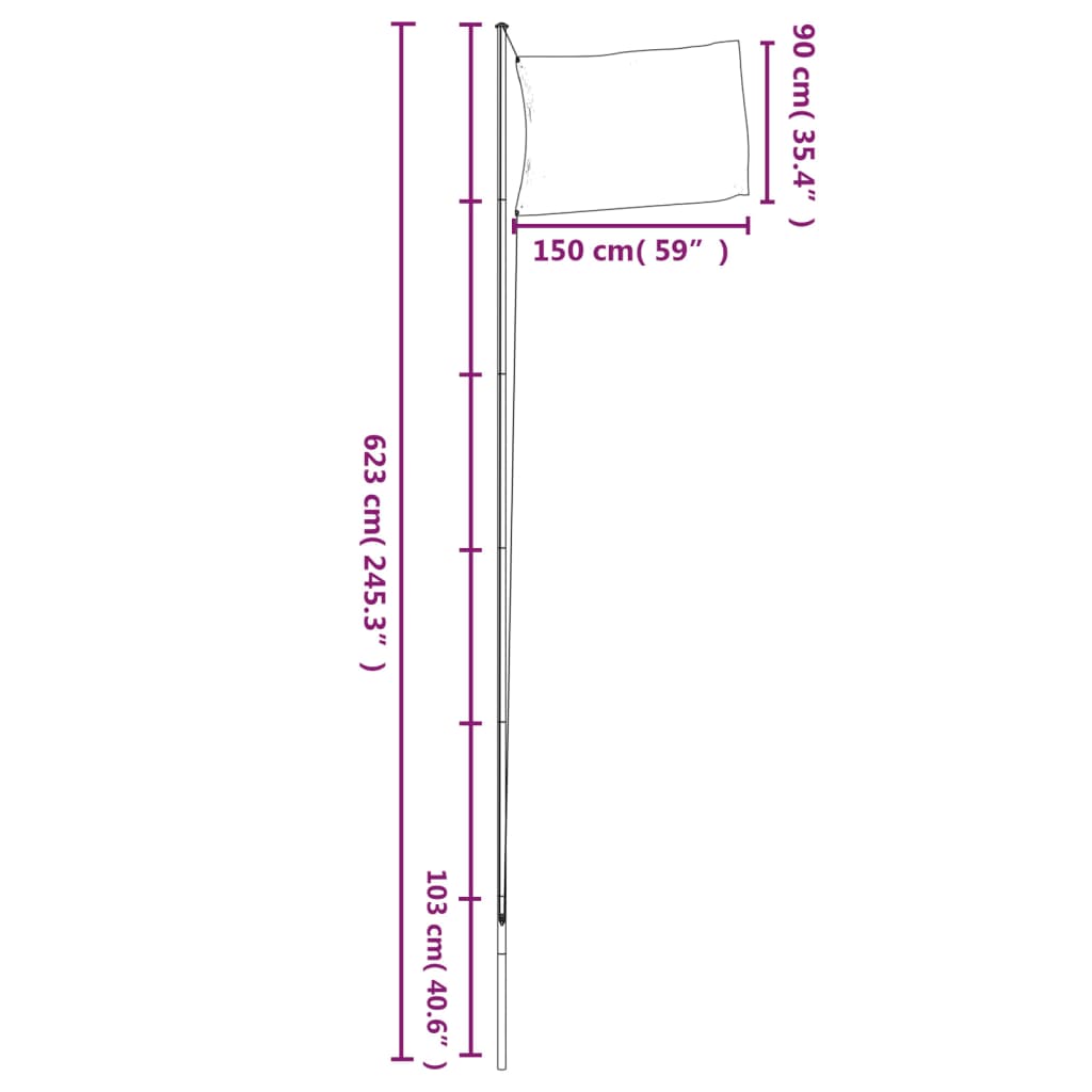 vidaXL Czech Flag and Pole 6.23 m Aluminum