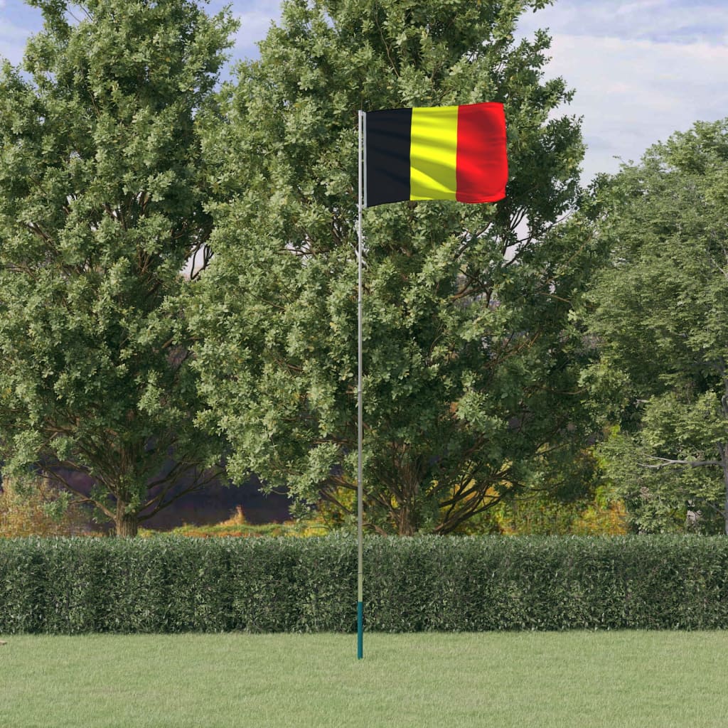 vidaXL Belgium Flag and Pole 6.23 m Aluminium