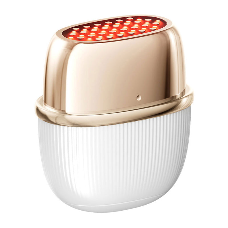 ANLAN 01-ADRY51-02A RF Lifting Facial Massager