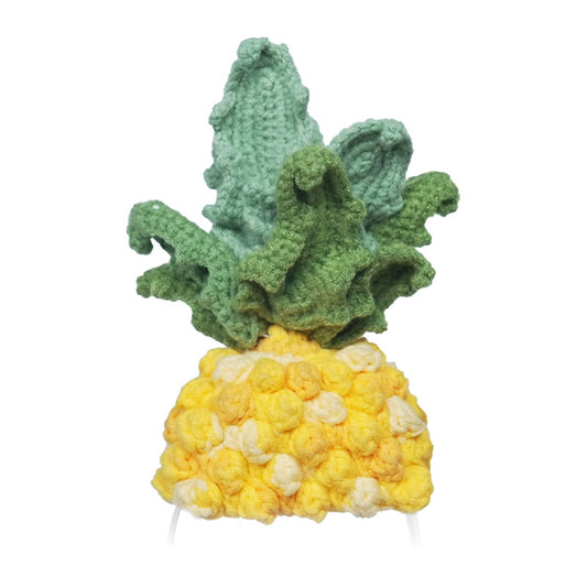 Costume Loona Knitted Pineapple
