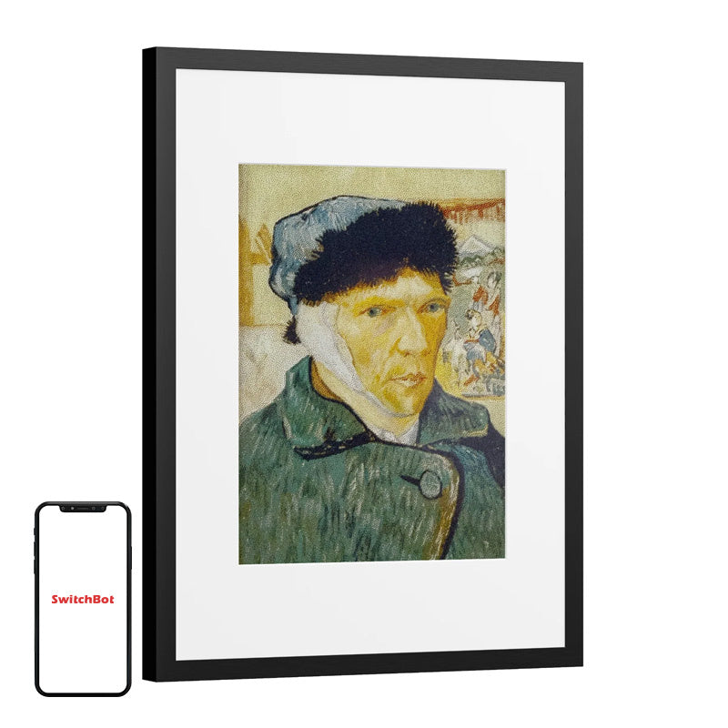 Digital frame SwitchBot AI Art Frame 13.3"