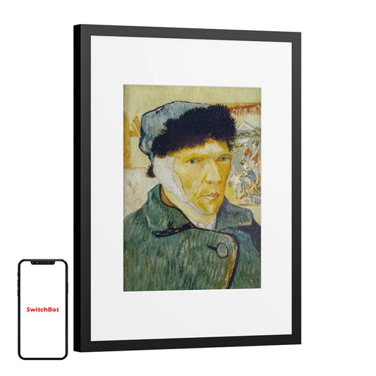 Digital frame SwitchBot AI Art Frame 13.3"