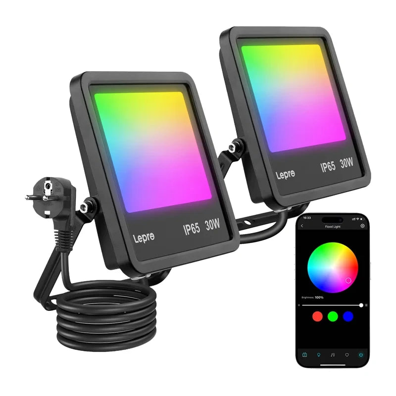 Floodlight Lepro F1 30W