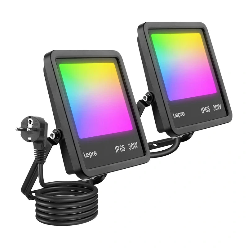 Floodlight Lepro F1 30W
