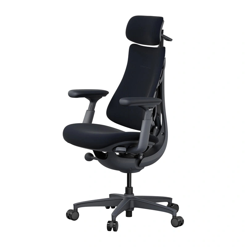 Ergonomic chair LiberNovo Omni 48cm (black)