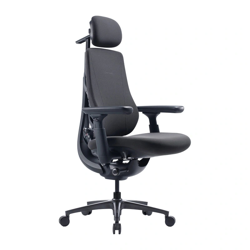 Dynamic Ergonomic Chair LiberNovo Maxis (Graphite)
