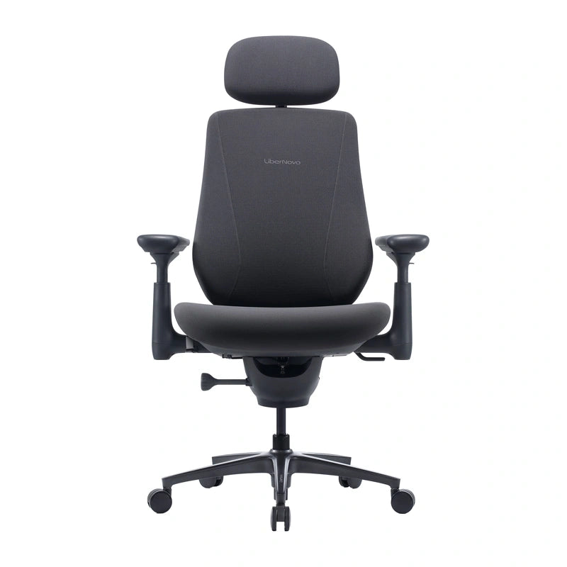 Dynamic Ergonomic Chair LiberNovo Maxis (Graphite)