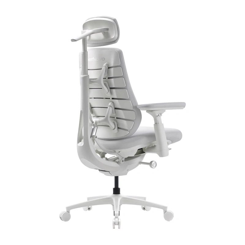 Dynamic Ergonomic Chair LiberNovo Maxis-PRO