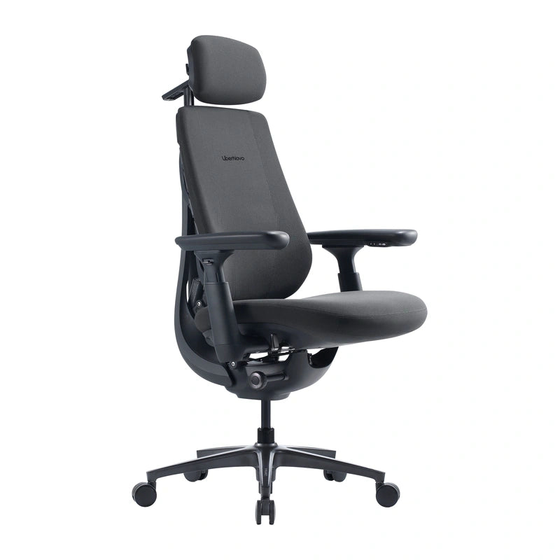 Dynamic Ergonomic Chair LiberNovo Maxis-PRO
