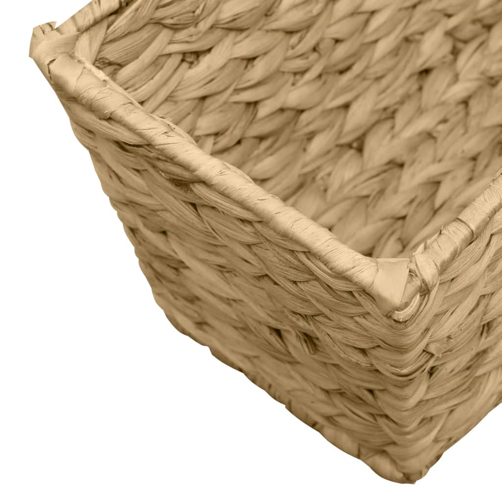 vidaXL Ζαρντινιέρες 2 τεμ. από Υάκινθο του Νερού