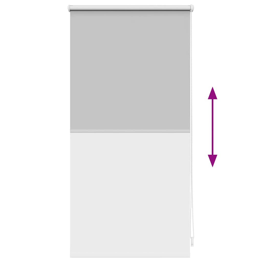 Στόρι Συσκότισης Ρόλερ Γκρι 40 x 100 εκ.