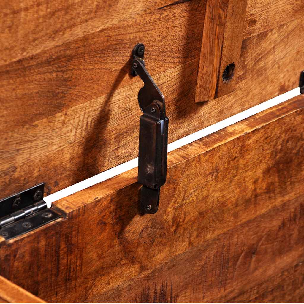 vidaXL Μπαούλο Αποθήκευσης από Ακατέργαστο Ξύλο Μάνγκο