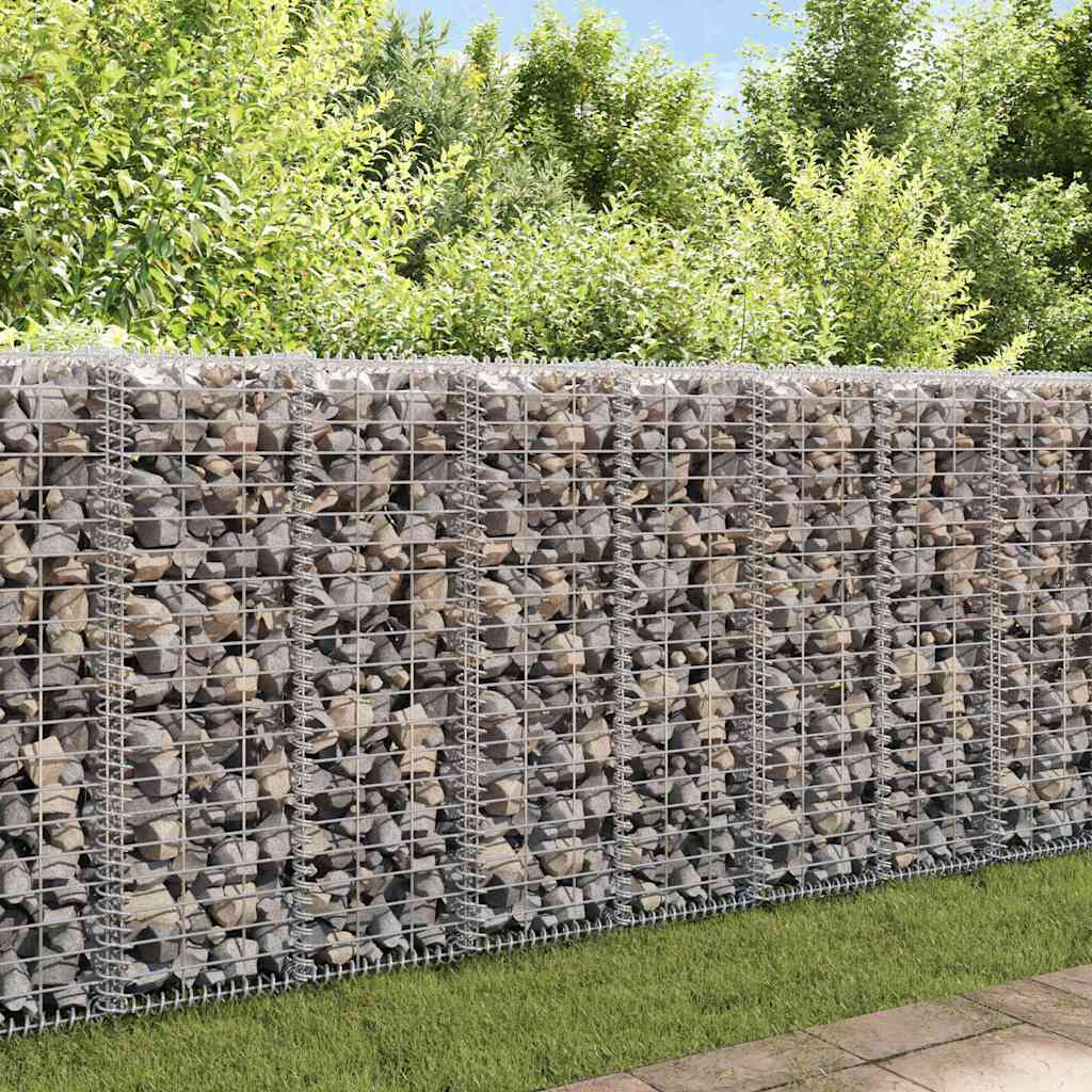 vidaXL Συρματοκιβώτιο Τοίχος 20x20x100 εκ. Γαλβαν.Χάλυβας + Καλύμματα