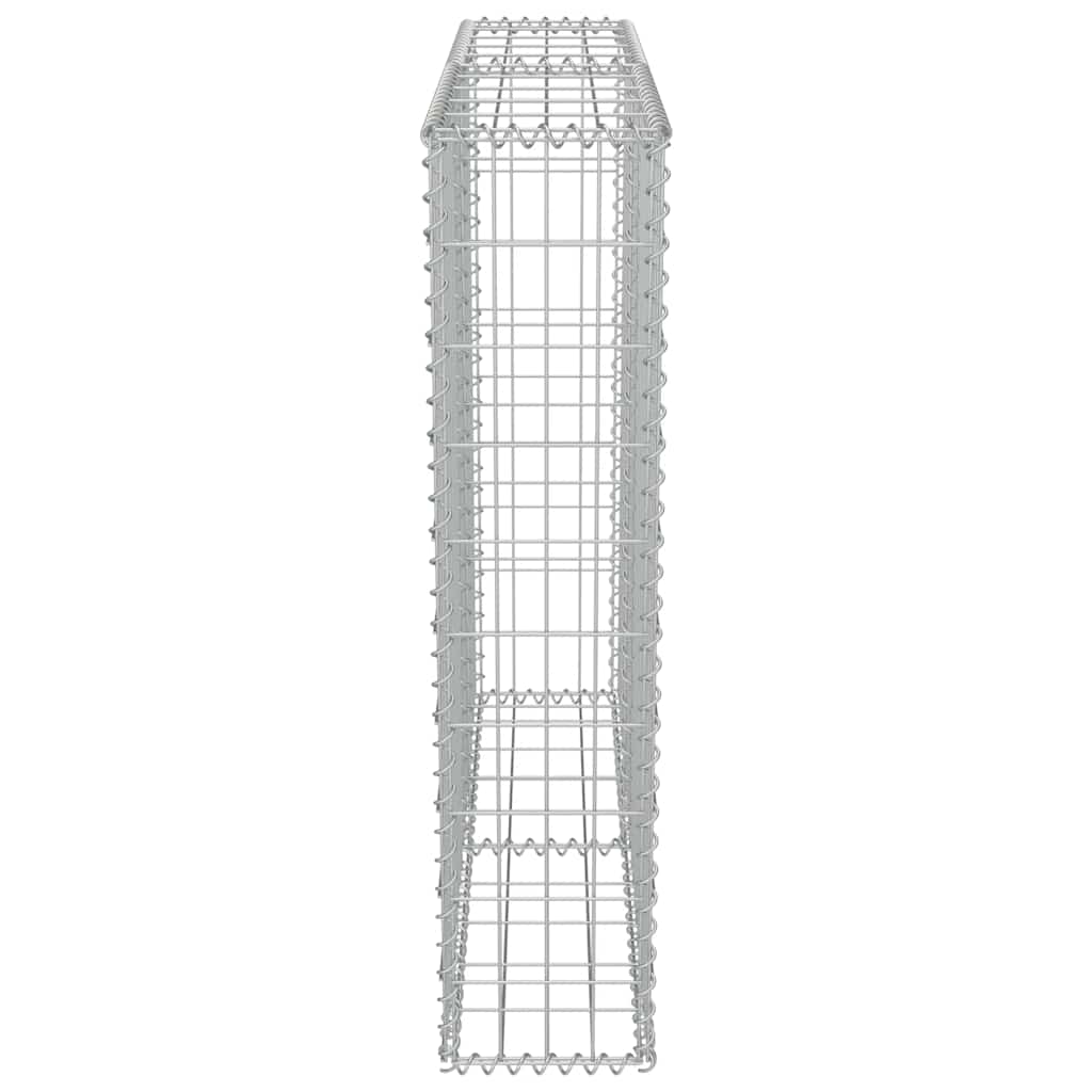 vidaXL Συρματοκιβώτιο Τοίχος 100x20x100 εκ. Γαλβαν.Χάλυβας + Καλύμματα