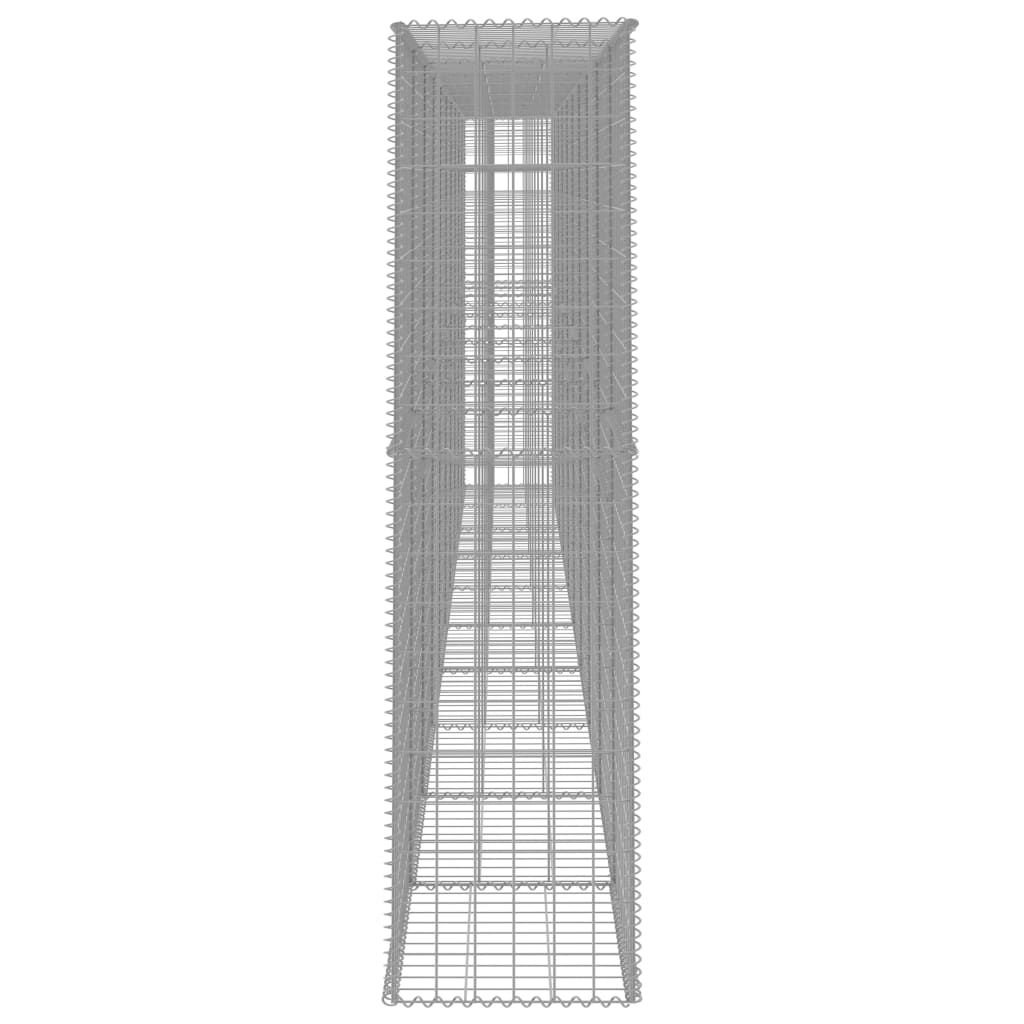 vidaXL Συρματοκιβώτιο Τοίχος 600x50x200 εκ. Γαλβαν.Χάλυβας + Κάλυμμα