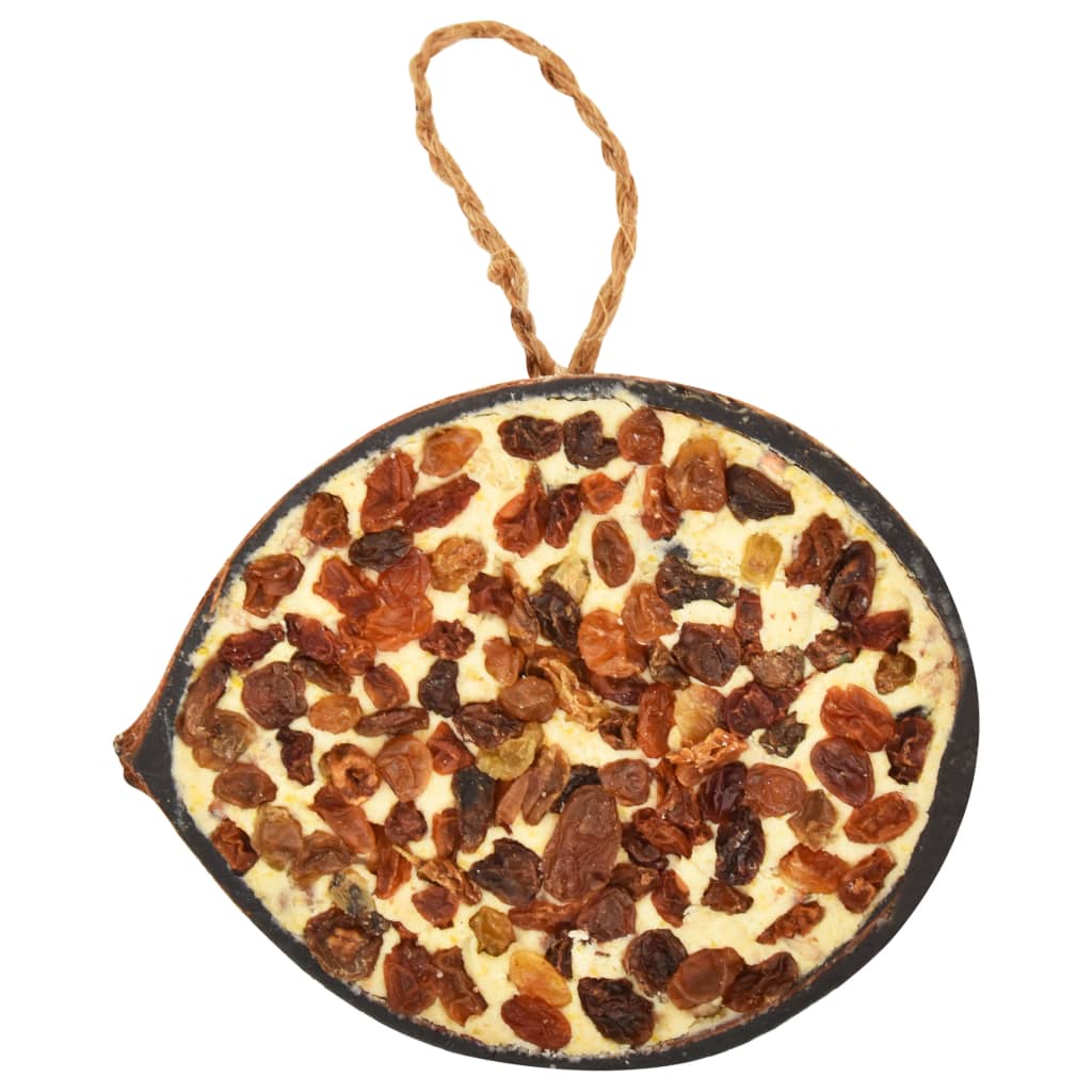 vidaXL Τροφή Πτηνών σε Γεμισμένες Καρύδες 10 τεμ. 290 γρ.