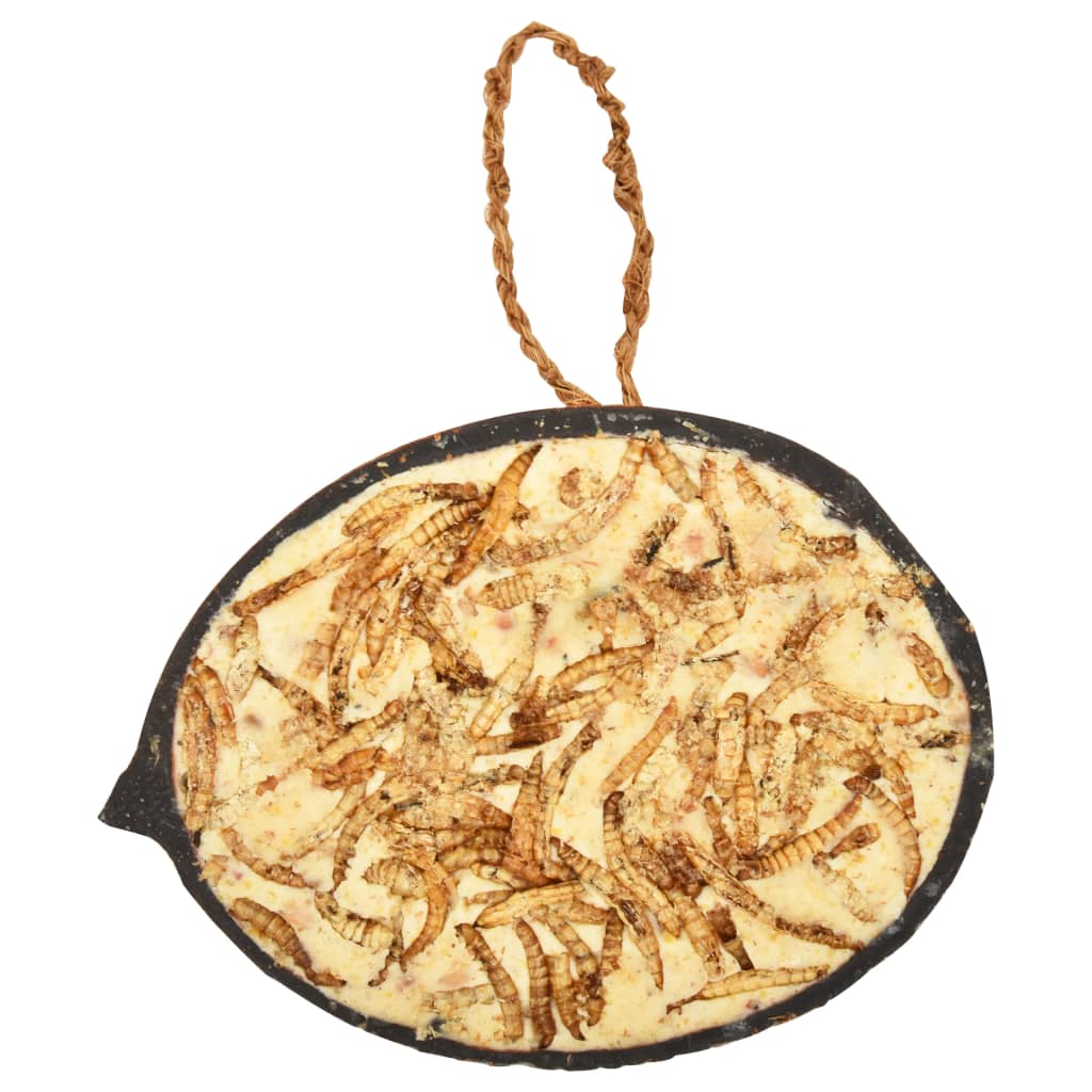 vidaXL Τροφή Πτηνών σε Γεμισμένες Καρύδες 10 τεμ. 290 γρ.