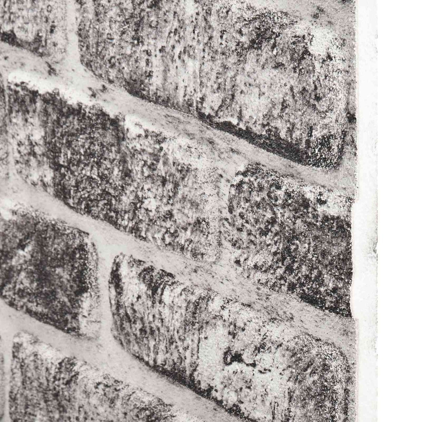 vidaXL Πάνελ τοίχου 10 pcs Σκούρο Γκρι και Λευκό 100 x 50 cm Αφρός EPS