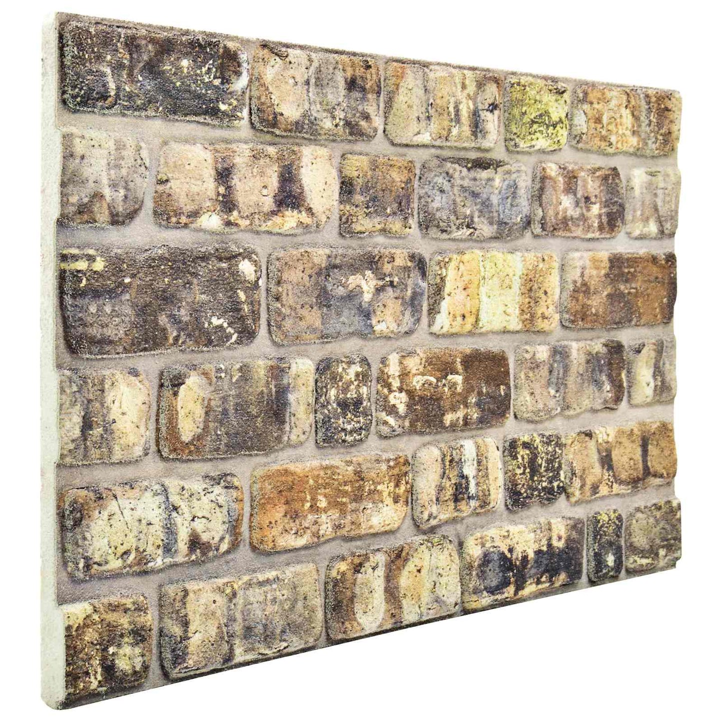 vidaXL Πάνελ τοίχου 10 pcs Πολύχρωμο 100 x 50 cm Αφρός EPS