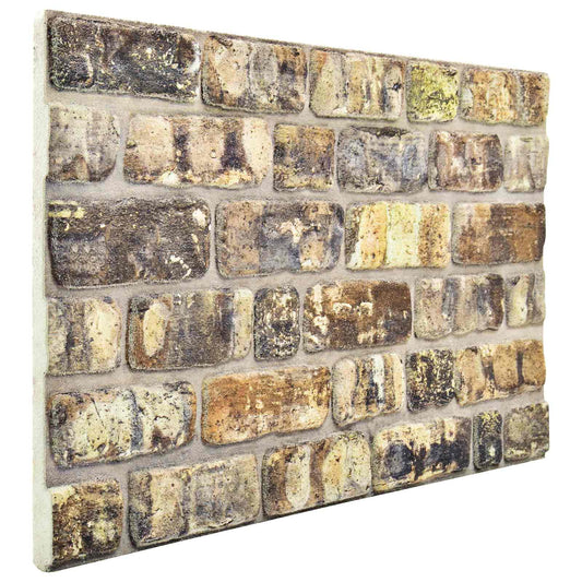 vidaXL Πάνελ τοίχου 10 pcs Πολύχρωμο 100 x 50 cm Αφρός EPS